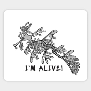 Leafy Seadragon - I'm Alive! - animal design on white Magnet